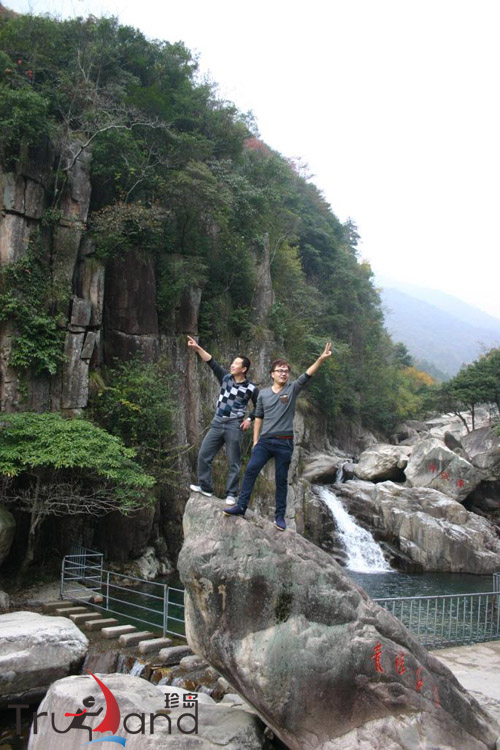 你說(shuō)東來(lái)我指西，咱兩就是“1+2”