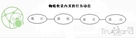 蜘蛛收錄內(nèi)頁行為動態(tài)