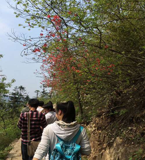 向山頂進(jìn)發(fā)